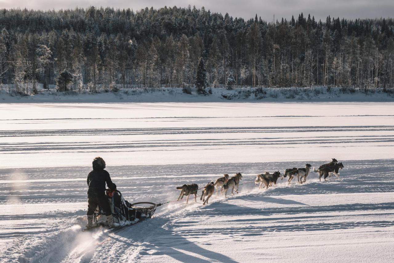 Nova Galaxy Village Rovaniemi Eksteriør bilde