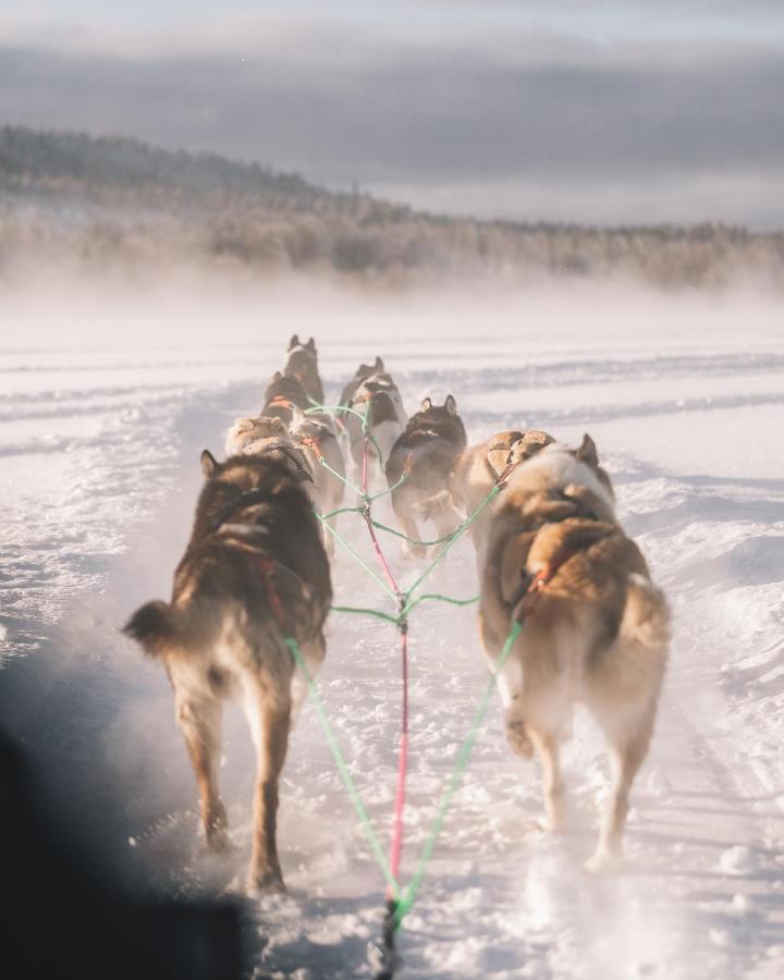 Nova Galaxy Village Rovaniemi Eksteriør bilde