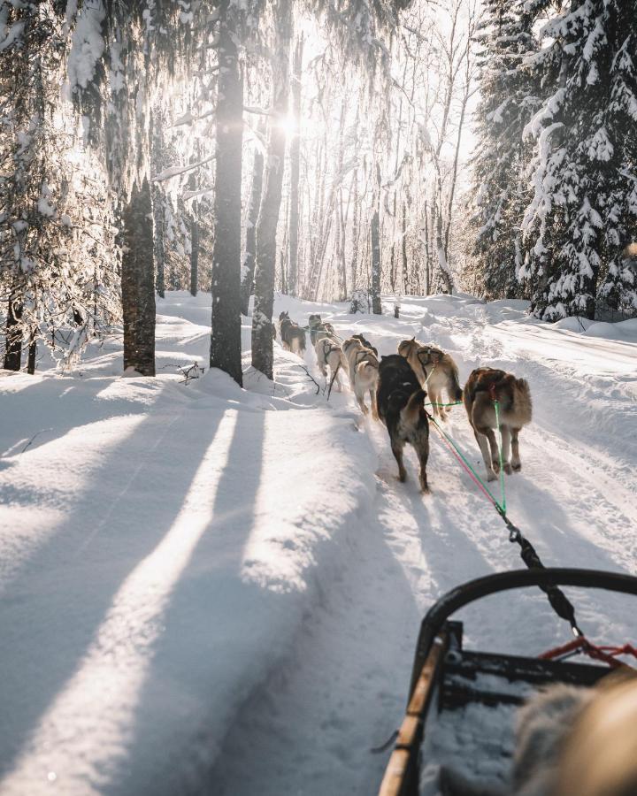 Nova Galaxy Village Rovaniemi Eksteriør bilde