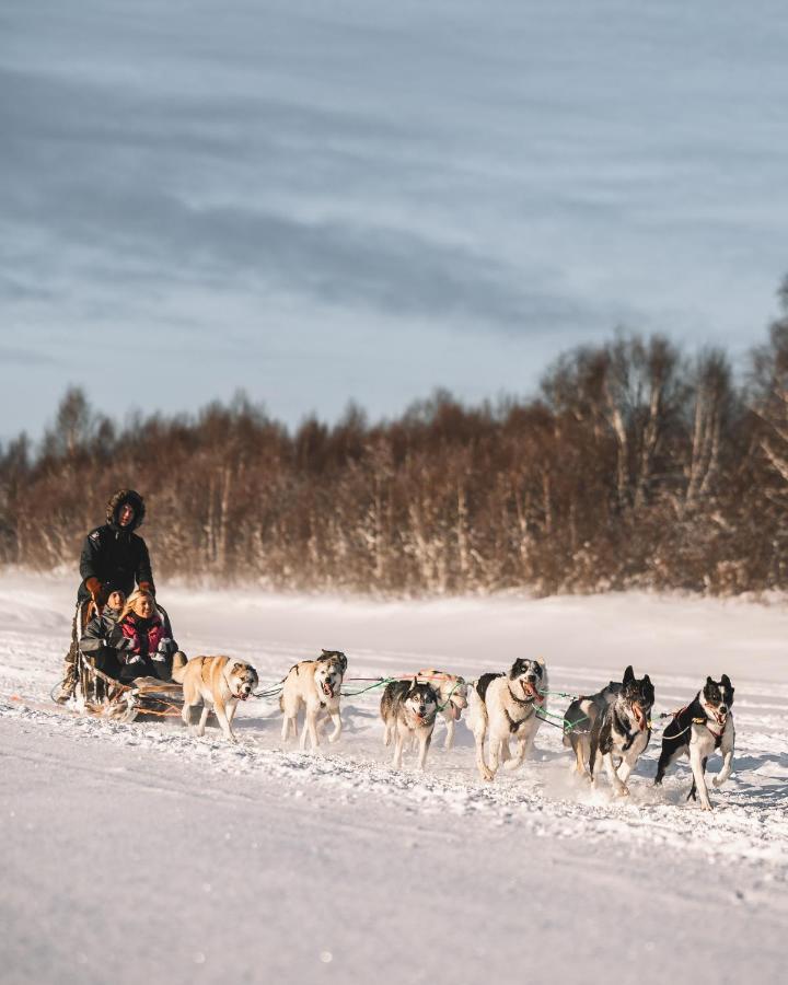 Nova Galaxy Village Rovaniemi Eksteriør bilde