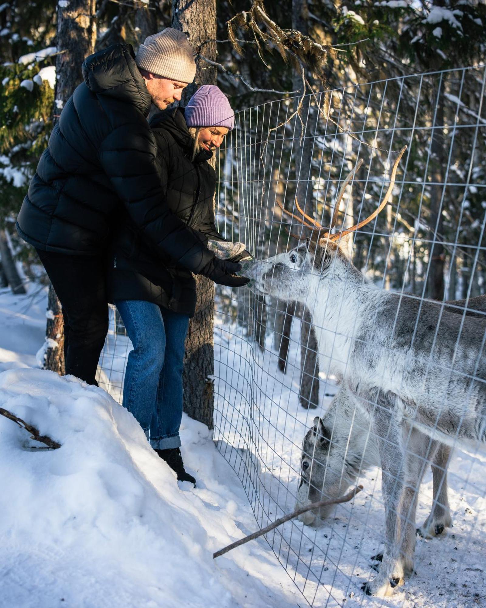 Nova Galaxy Village Rovaniemi Eksteriør bilde