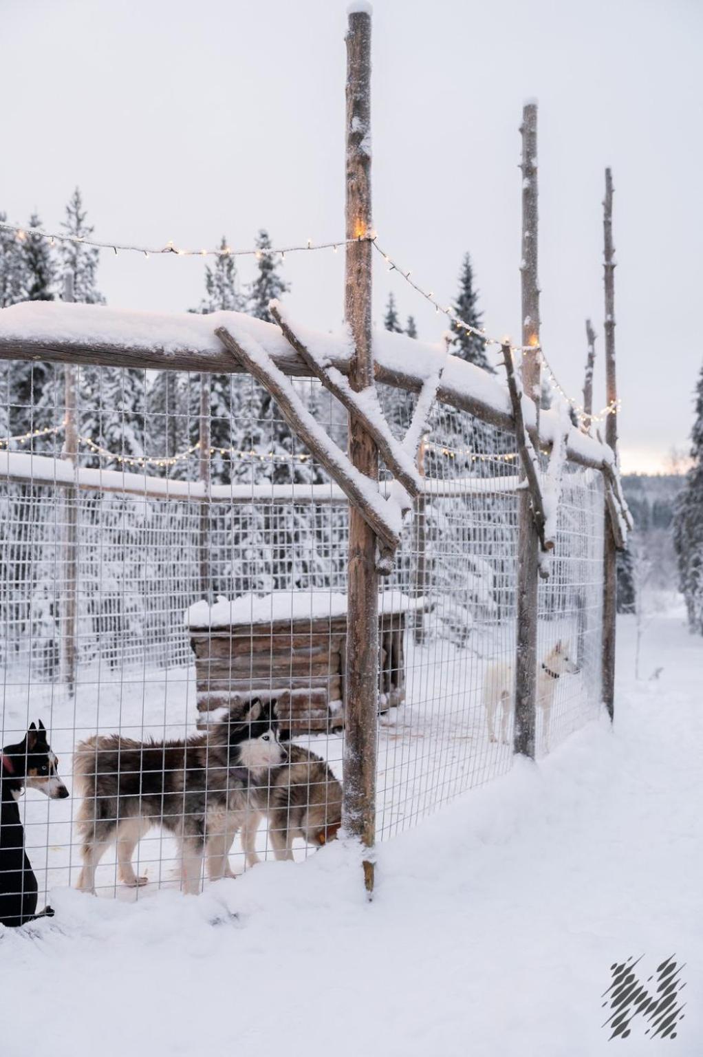 Nova Galaxy Village Rovaniemi Eksteriør bilde