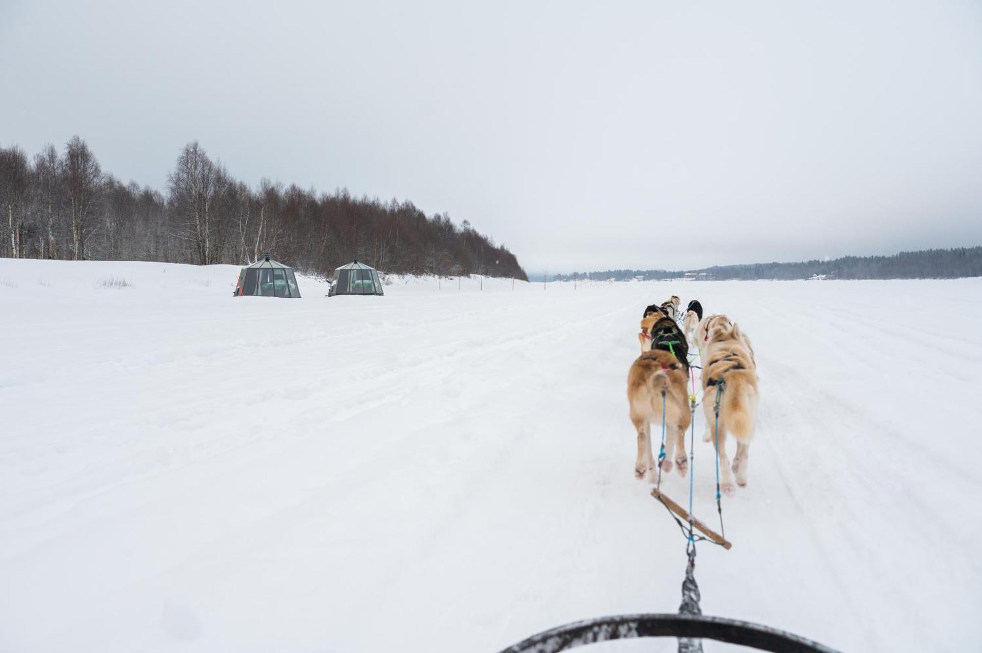 Nova Galaxy Village Rovaniemi Eksteriør bilde