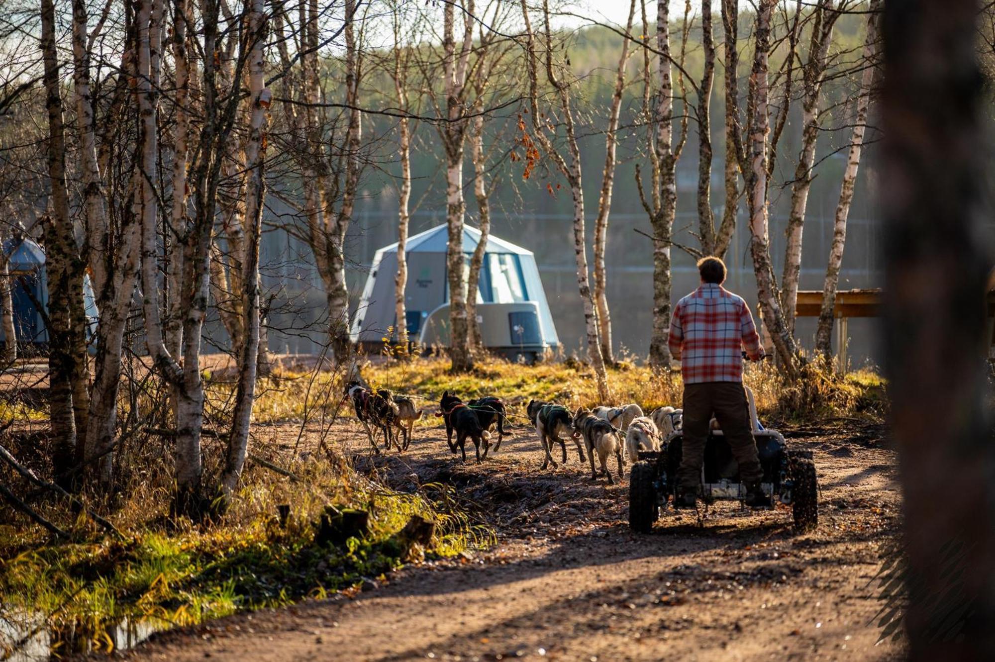 Nova Galaxy Village Rovaniemi Eksteriør bilde